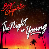 The Night Is Young Lyrics Big Gigantic