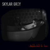 Addicted To Love (Single) Lyrics Skylar Grey