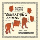 Sunbathing Animal/Content Nausea Lyrics Parquet Courts