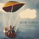 Strange Bird Lyrics Augie March