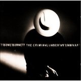 The Criminal Under My Own Hat Lyrics T-bone Burnett