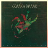 Chrome Waves Lyrics Kraak & Smaak