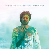 The Shipwreck From the Shore Lyrics Anthony D'Amato