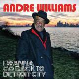 I Wanna Go Back To Detroit City Lyrics Andre Williams