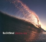 Electric Sea Lyrics Buckethead