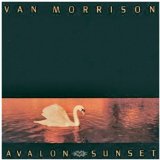 Avalon Sunset Lyrics Morrison Van
