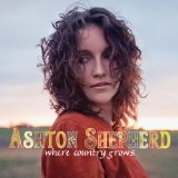 Look It Up (Single) Lyrics Ashton Shepherd