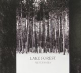 Silver Skies Lyrics Lake Forest