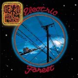 Electric Forest Lyrics Gekko Projekt