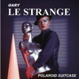 Polaroid Suitcase Lyrics Gary Le Strange
