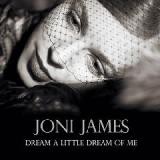 Dream A Little Dream Of Me Lyrics Joni James