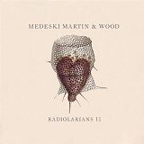 Radiolarians II Lyrics Medeski Martin & Wood