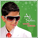 Acoustic Christmas Lyrics Aj Silva