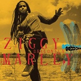 Dragonfly Lyrics Ziggy Marley