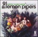 Green Tambourine Lyrics Lemon Pipers