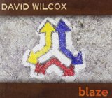 Miscellaneous Lyrics David Wilcox