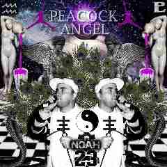 Peacock Angel Lyrics Noah23