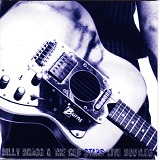 No Pop, No Style, Strictly Roots Lyrics Billy Bragg