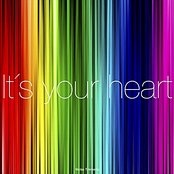 It´s Your Heart Lyrics Niclas Timmerby