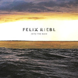Into The Rain Lyrics Felix Riebl
