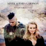 Never Forget You (Single) Lyrics MNEK & Zara Larsson