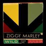Forward To Love (Single) Lyrics Ziggy Marley