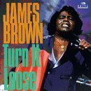 Turn It Loose Lyrics James Brown