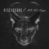 Caracal Lyrics Disclosure