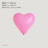 Fading Hearts / Density Disrupted Lyrics Robert Babicz