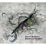 Out Of The Wilderness Lyrics Robert Bradley's Blackwater Surprise