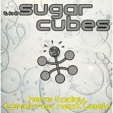 Here Today Tomorrow Next Week Lyrics Sugarcubes