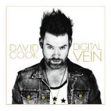 Digital Vein Lyrics David Cook
