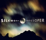 Developer Lyrics Silkworm