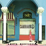 Caminando (Single) Lyrics Amaia Montero