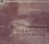 Travels In the Dustland Lyrics The Walkabouts