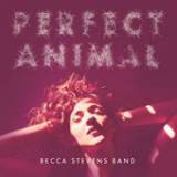 Perfect Animal Lyrics Becca Stevens Band
