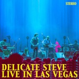 Live In Las Vegas Lyrics Delicate Steve