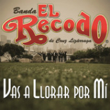 Vas a Llorar por Mí Lyrics Banda El Recodo de Cruz Lizarraga