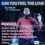 Can You Feel the Love (Remixes) Lyrics DJ Valdi