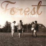Caramel Arms (EP) Lyrics Forest