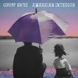 American Interior Lyrics Gruff Rhys