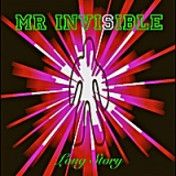 Mr Invisible Lyrics Long Story