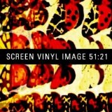 Screen Vinyl Image