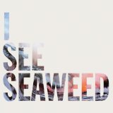 I See Seaweed Lyrics The Drones