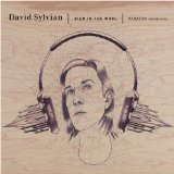 Died In The Wool Lyrics David Sylvian