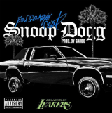 Passenger Seat (Single) Lyrics Snoop Dogg