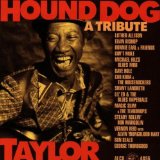 Miscellaneous Lyrics Hound Dog Taylor