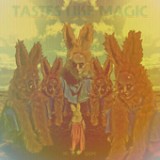 Tastes Like Magic (B-Sides) - Single Lyrics Mr. Gnome