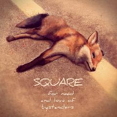 For Need and Love Of Bystanders Lyrics Square
