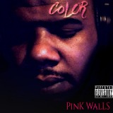 Pink Walls Lyrics Color